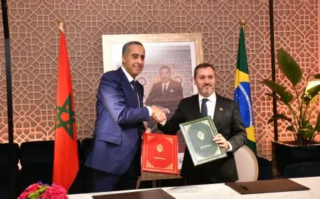 مذكرة تفاهم بين المديرية العامة للأمن الوطني والشرطة البرازيلية