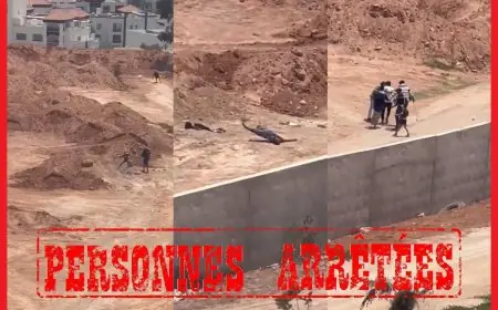 أمن أكادير يوقف 5 أشخاص ظهرو في فيديو وهم يعرضون شخصا للضرب