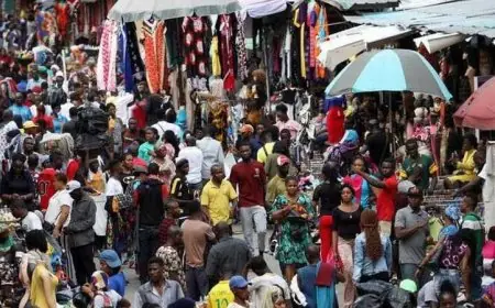 توقعات تظهر تراجع عدد السكان في العالم بحلول نهاية القرن