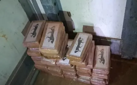 إحباط محاولة تهريب المخدرات بمعبر الكركارات