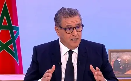أخنوش: العلاقة بين المغرب ومنظمة التعاون والتنمية الاقتصادية تتميز بالتعاون الدائم