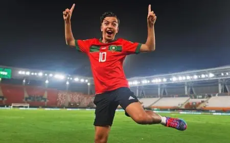 الوزير مهدي بنسعيد يستقبل بطل العالم في الفريستايل "مهدي عمري"