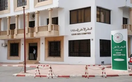 المجلس الأعلى للحسابات يخصص أكثر من 619 مليون درهم لميزانية 2025