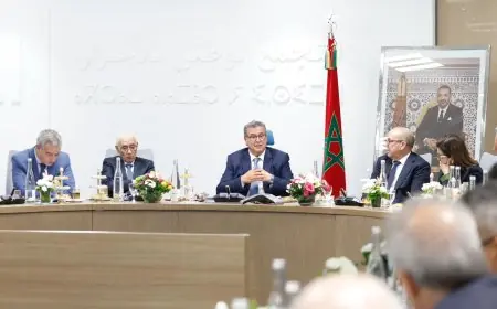 "الأحرار " يُعبِّر عن ارتياحه للقرار الأخير لمجلس الأمن حول مغربية الصحراء