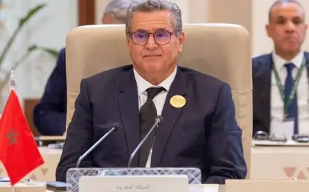 أخنوش: المغرب يواصل دعمه للقضية الفلسطينية