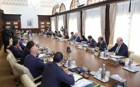 مجلس الحكومة يصادق على تعيينات جديدة في مناصب عليا