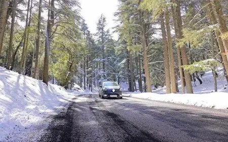 طقس الجمعة.. أمطار وثلوج مرتقبة بعدد من مناطق المملكة