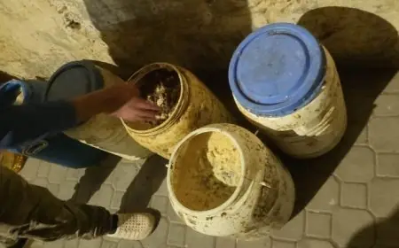 النيابة العامة بفاس تتابع 14 شخصا بتهم ترويج "الخليع الفاسد"