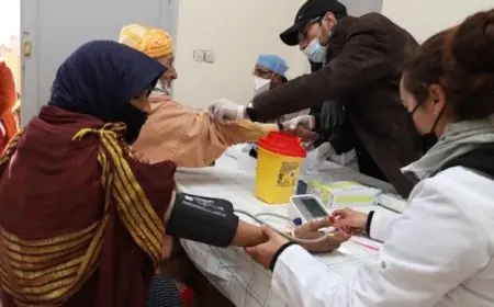 المجلس الاقتصادي والاجتماعي والبيئي يوصي بنظام إجباري موحد لأنظمة التأمين عن المرض