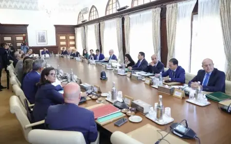 مجلس الحكومة يصادق على تعيينات جديدة في المناصب العليا