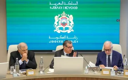 أخنوش: 4 ملايين أسرة تستفيد من برنامج الدعم الاجتماعي المباشر