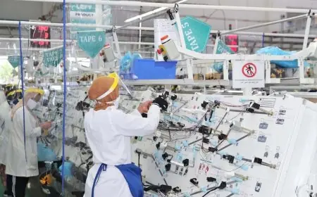 إحداث أكثر من 61 ألف مقاولة في المغرب خلال 2024