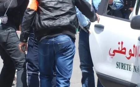 أمن البيضاء يوقف متورطا في حادث دهس متعمد وإلحاق خسائر مادية