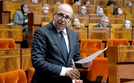 البواري: ارتفاع أسعار اللحوم بسبب الطلب المرتفع والجهود مستمرة لتقليص الأسعار