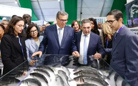 أكادير .. رئيس الجهة يغيب عن افتتاح "اليوتيس" و الإعلام المحلي يقاطع التظاهرة