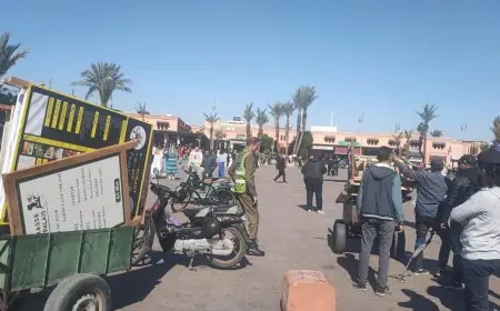 مراكش .. سلطات الباهية تشن حملة واسعة لتحرير الملك العام (صور)