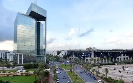 اتصالات المغرب تحقق إيرادات بقيمة 36.7 مليار درهم خلال سنة 2024
