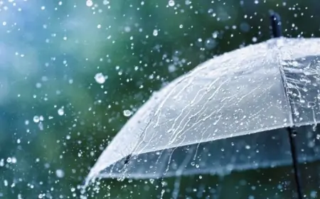 نشرة إنذارية .. أمطار ورياح قوية وتساقط للثلوج بهذه المناطق