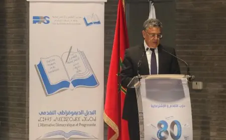 " قضاة المغرب " ينتفضون ضد تصريحات وزير العدل "وهبي"