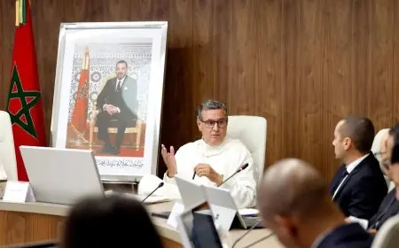 أخنوش يرأس اجتماعا لمتابعة تقدم مشروع تحسين المنظومة الصحية