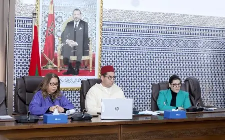 الأصالة والمعاصرة يدعو لإلغاء الإعفاءات الجمركية لمواجهة ارتفاع أسعار اللحوم