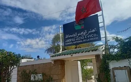 اللجنة المؤقتة لتسيير شؤون الصحافة ترد على ادعاءات المهداوي بشأن "المخطط الإسرائيلي"