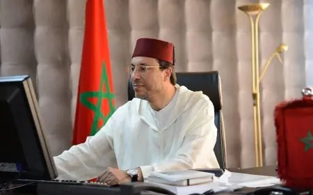 من هو عبد القادر عمارة الرئيس الجديد للمجلس الاقتصادي والاجتماعي والبيئي؟