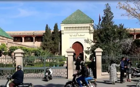 16 سنة سجنا في حق "الزائر" ونائب رئيس مقاطعة جليز ومن معهم في قضية المخدرات بمراكش