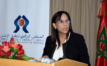 أمينة بوعياش.. مسار حافل يتوج بولاية جديدة على رأس المجلس الوطني لحقوق الإنسان