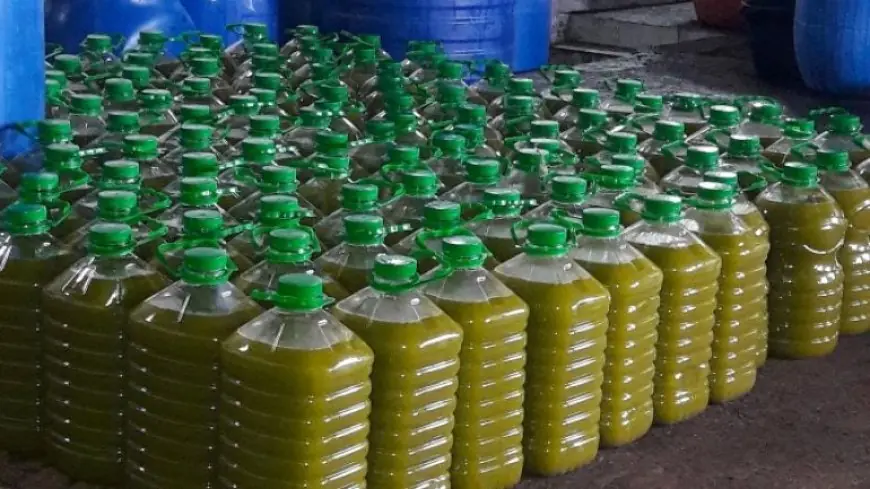 رغم تراجع الإنتاج المحلي .. إرتفاع "قياسي" لصادرات الزيوت المغربية نحو أوروبا