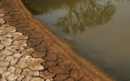 في ظل الجفاف.. هل من سبيل لإنقاذ الاقتصاد المغربي من تحت رماد الفلاحة؟
