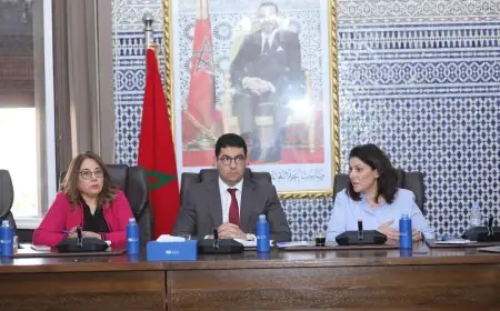 الأصالة والمعاصرة يرفض استغلال دعم مستوردي اللحوم سياسيا ويدعو لتوضيح حكومي