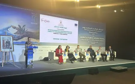 من أجل قرى خضراء.. المغرب يطلق شراكة تنموية بين الفاعلين المحليين والدوليين