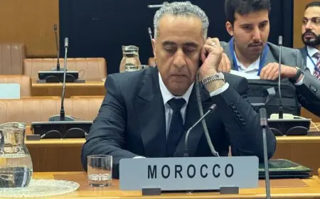 حموشي يشارك في اجتماع أمني دولي بفيينا لتعزيز التعاون الاستخباراتي