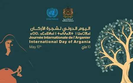 المغرب يحتفي بشجرة الأركان كرافعة للتنمية والصمود المناخي