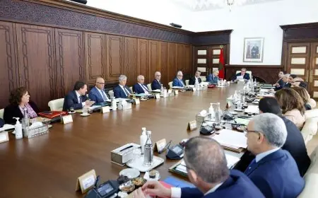 أخنوش يدعو لتفعيل الحوار الاجتماعي القطاعي واعتماد مشاورات منتظمة