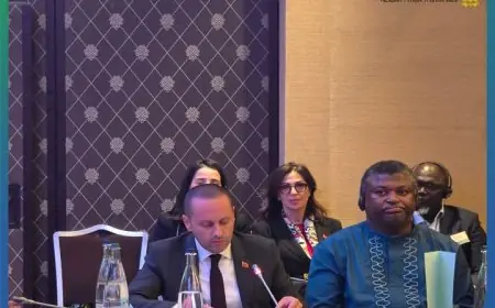 جلسة وزارية حول "تمويل الصحة في إفريقيا" تجمع الوزير التهراوي مع مسؤولين بجنيف