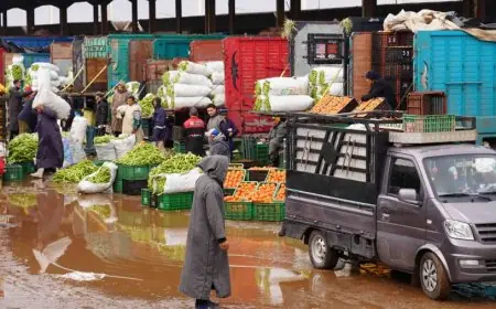 تحقيقات قضائية تكشف عن اختلالات مالية بسوق الخضر والفواكه بمكناس