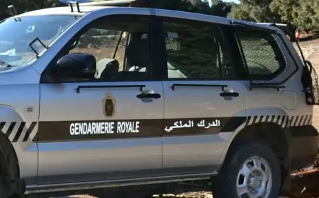 الدرك الملكي يداهم مصنعا سريا لتزوير الملابس ببوسكورة