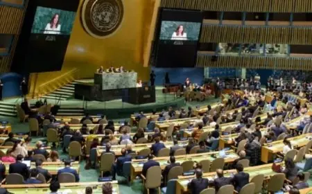 سيراليون تستنكر مغالطة حول الصحراء المغربية تضمنها تقرير مجلس الأمن إلى الجمعية العامة