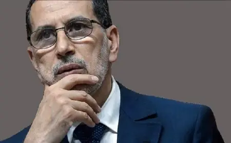 سعد الدين العثماني يشيد بدعم مجلس الأمن لمقترح المغرب للحكم الذاتي