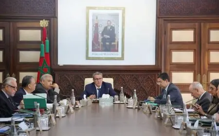 مجلس الحكومة يصادق على تعيينات عليا في وزارات الصناعة والتعليم والسياحة والتضامن