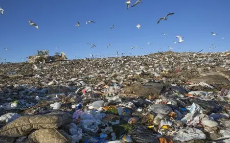 خطة وطنية جديدة لتحويل النفايات من عبء بيئي إلى مورد اقتصادي
