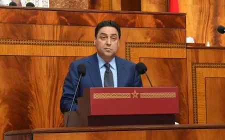 تقلبات أسعار البترول اليومية.. وزير الصناعة والتجارة يكشف أسرار تأثير المشهد الدولي