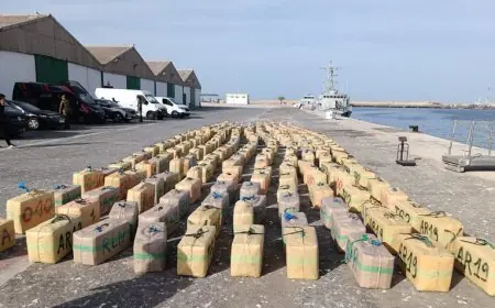 الدرك الملكي يحبط تهريب 8 أطنان من الشيرا بسواحل تزنيت