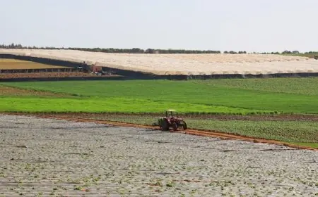 تراجع المساحات الزراعية في المغرب يثير مخاوف حول الأمن الغذائي والتحديات المناخية