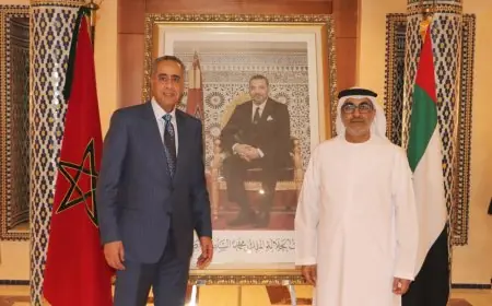 حموشي يستقبل رئيس جهاز الاستخبارات الوطني الإماراتي لتعزيز التعاون الأمني