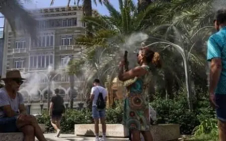 موجة حر تودي بحياة 284 شخصا بالبرتغال