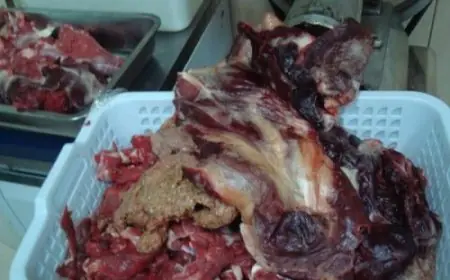 مراقبة ميدانية واسعة تكشف أغذية فاسدة بمطاعم ميناء طنجة