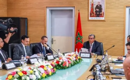 أخنوش يعلن بدء تنزيل الرؤية الجديدة للقطاع الصحي انطلاقا من طنجة